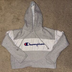 Champion Gray Boxy Cropped Hoodie